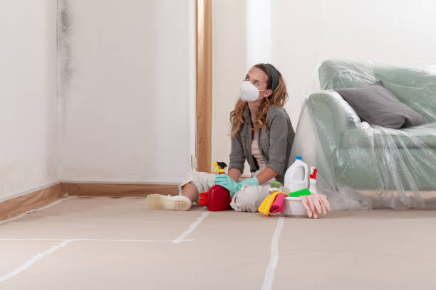 Reliable Black Mold Remediation contractor in Mifflin, PA by Mold Remediation HQ